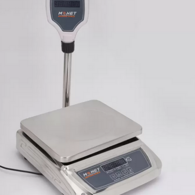 ARYA SS FP 30KG Weighing Scale  (Grey)